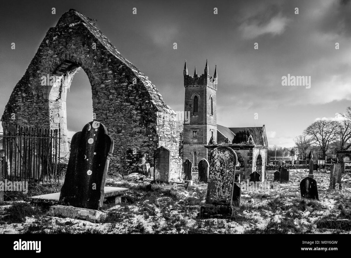 How Old Is Nico Robin in Vinland Saga? Shes from One Piece.